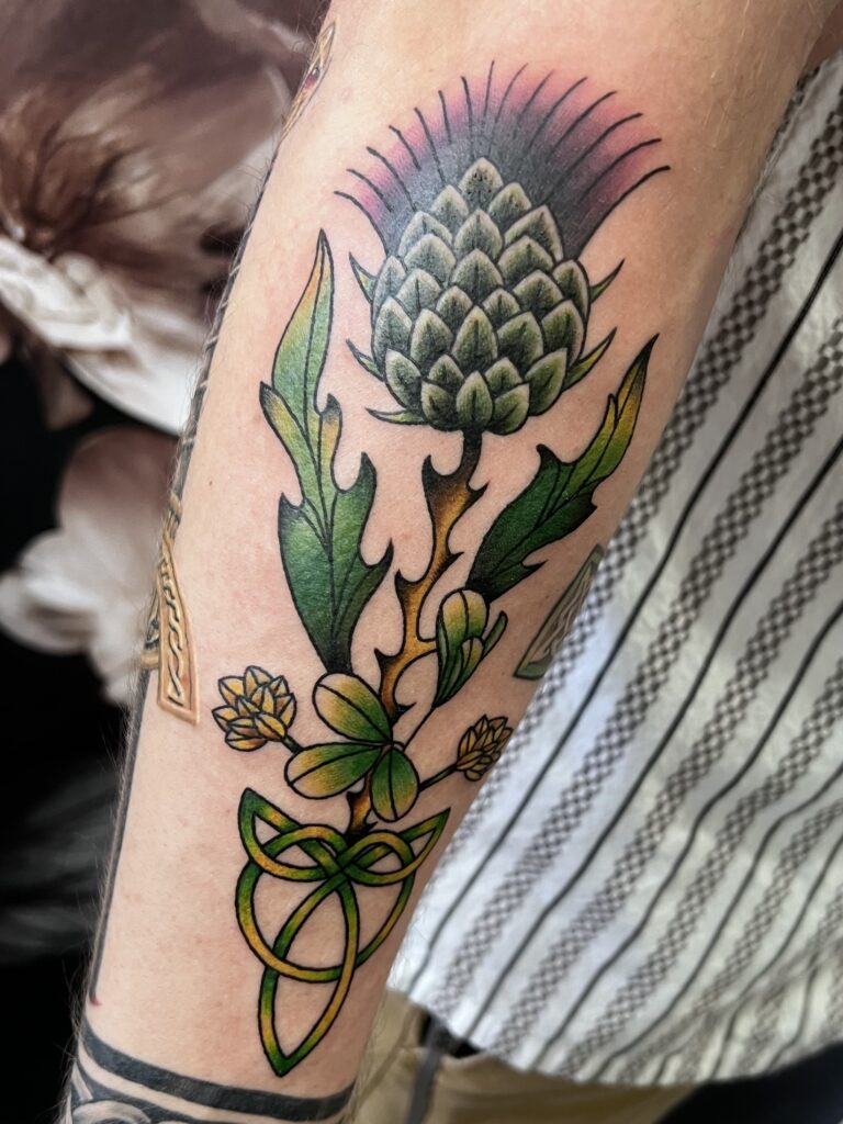 Color Celtic thistle tattoo with green leaves and knotwork by Shawna at Broken Clover Tattoo in Tucson